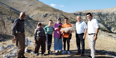 Hibe destekle başladı, 186 koyun yetiştirdi