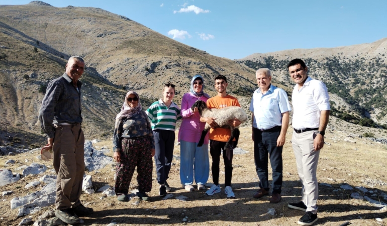 Hibe destekle başladı, 186 koyun yetiştirdi