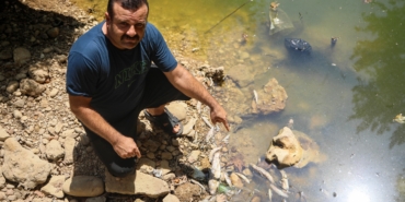Su seviyesi düşen deredeki endemik yüzlerce balık öldü