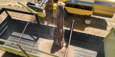 Halkın toprağından halkın sofrasına halk ekmek