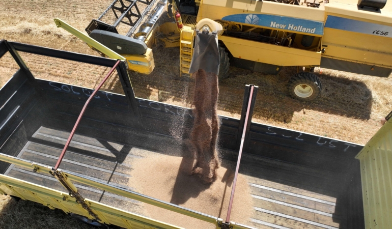 Halkın toprağından halkın sofrasına halk ekmek