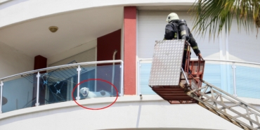 Yangında balkonda mahsur kalan köpeği itfaiye kurtardı