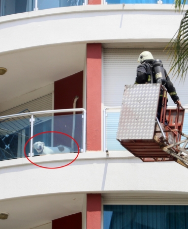 Yangında balkonda mahsur kalan köpeği itfaiye kurtardı