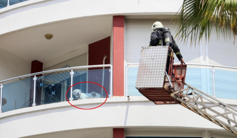 Yangında balkonda mahsur kalan köpeği itfaiye kurtardı