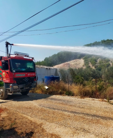 Zeytin bahçesi yangında zarar gördü