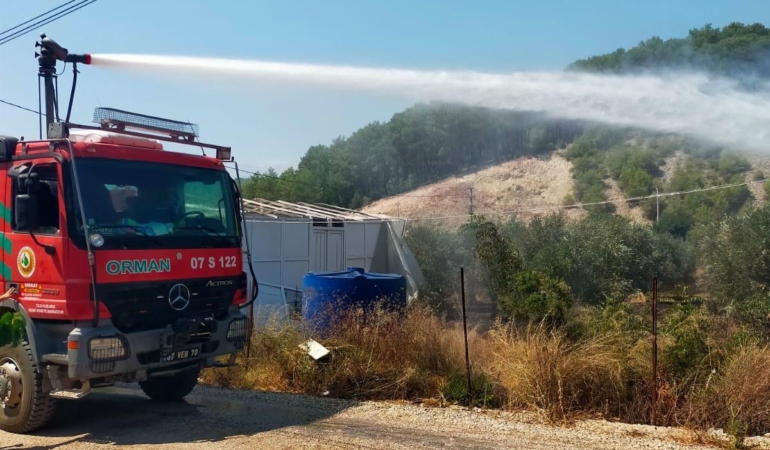 Zeytin bahçesi yangında zarar gördü