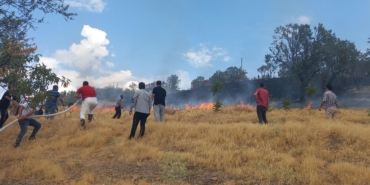 Otluk yangını büyümeden söndürüldü