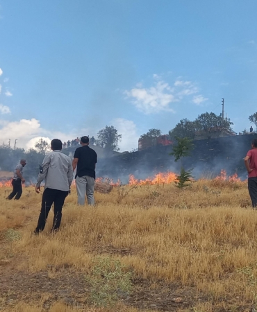 Otluk yangını büyümeden söndürüldü