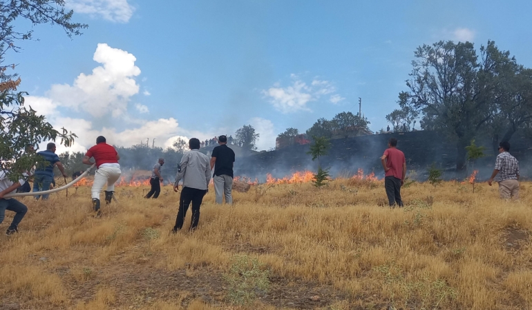 Otluk yangını büyümeden söndürüldü