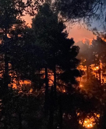 Eğirdir’de orman yangını kontrol altında