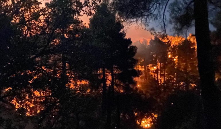Eğirdir’de orman yangını kontrol altında