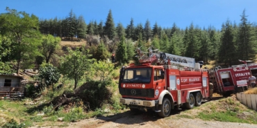 Orman yangını büyümeden söndürüldü