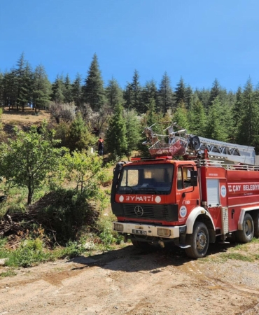 Orman yangını büyümeden söndürüldü
