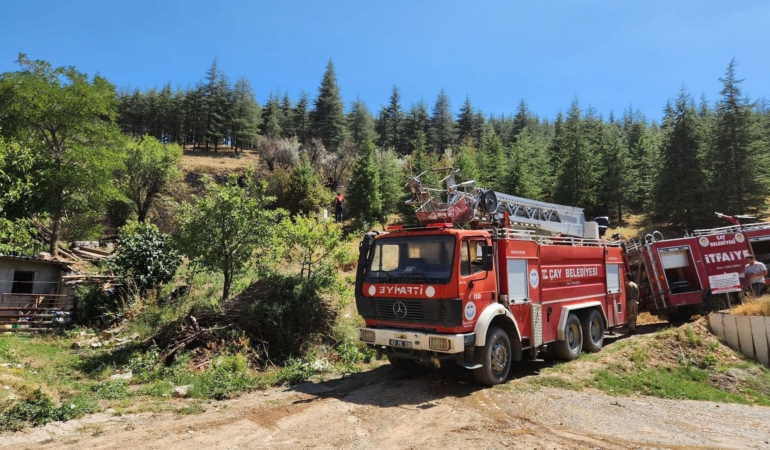 Orman yangını büyümeden söndürüldü