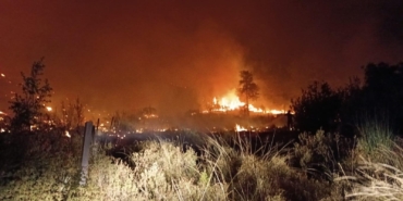 Orman yangını 5 saatte kontrol altına alındı