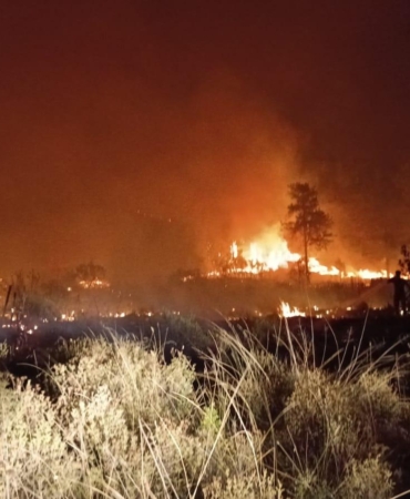 Orman yangını 5 saatte kontrol altına alındı