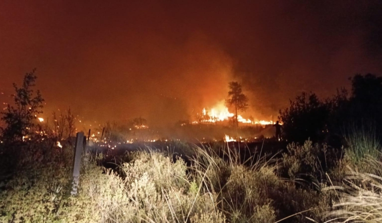 Orman yangını 5 saatte kontrol altına alındı