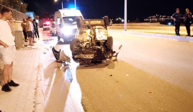 Tilkiye çarpmamak için manevra yapınca takla attı