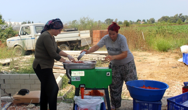 Denizyakalı’ya salça yapma makinesi