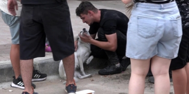 Yangın çıkan evdeki 2 köpeği itfaiye kurtardı