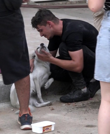 Yangın çıkan evdeki 2 köpeği itfaiye kurtardı