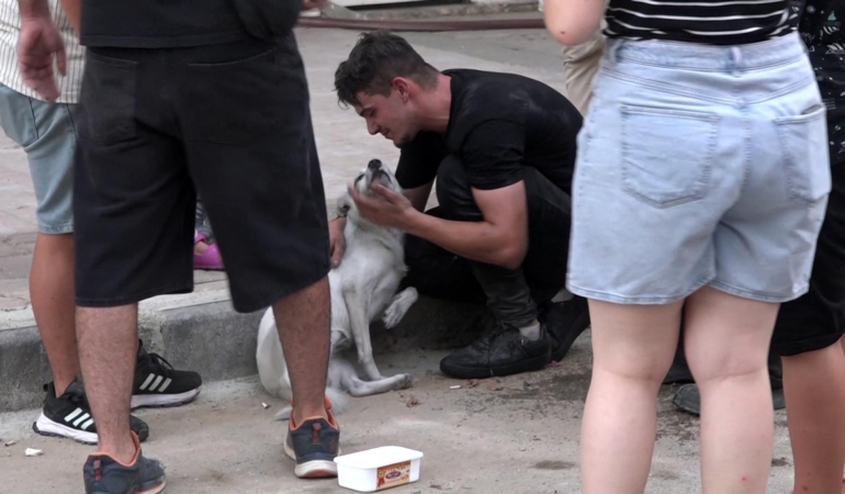 Yangın çıkan evdeki 2 köpeği itfaiye kurtardı