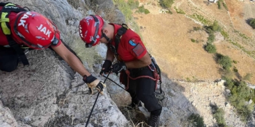 Dağda mahsur kalan keçiyi jandarma kurtardı