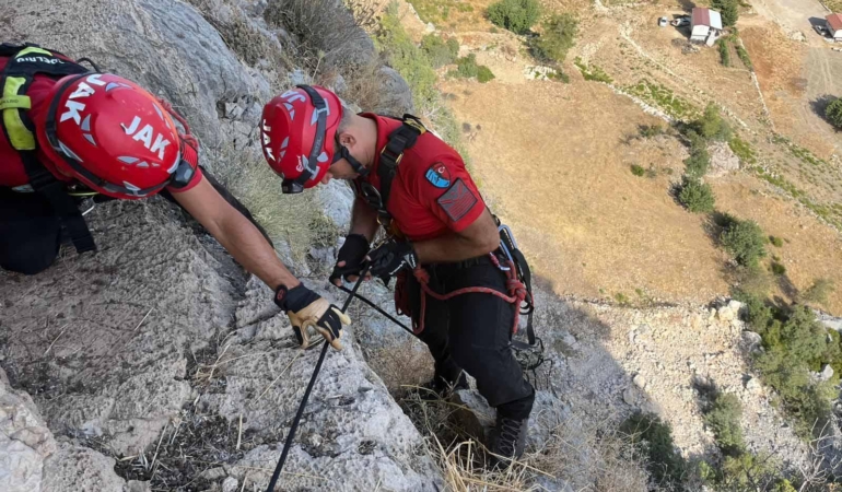Dağda mahsur kalan keçiyi jandarma kurtardı