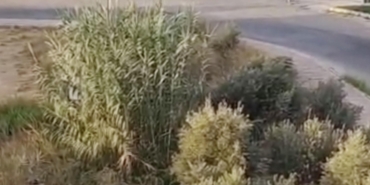 Drift yapan 3 sürücüye 166 bin TL ceza