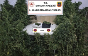 Uyuşturucu operasyonunda 1 tutuklama