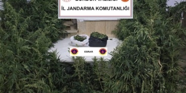 Uyuşturucu operasyonunda 1 tutuklama