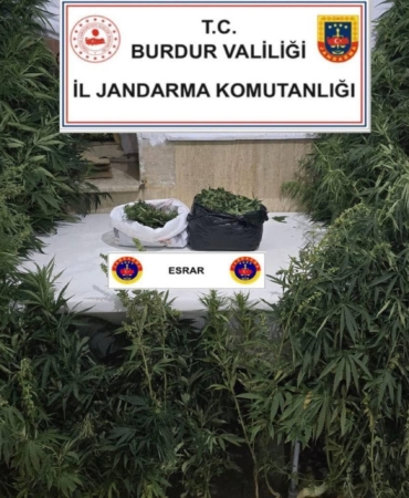 Uyuşturucu operasyonunda 1 tutuklama