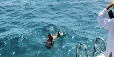 Yaralı martıyı tekne kaptanı kurtardı