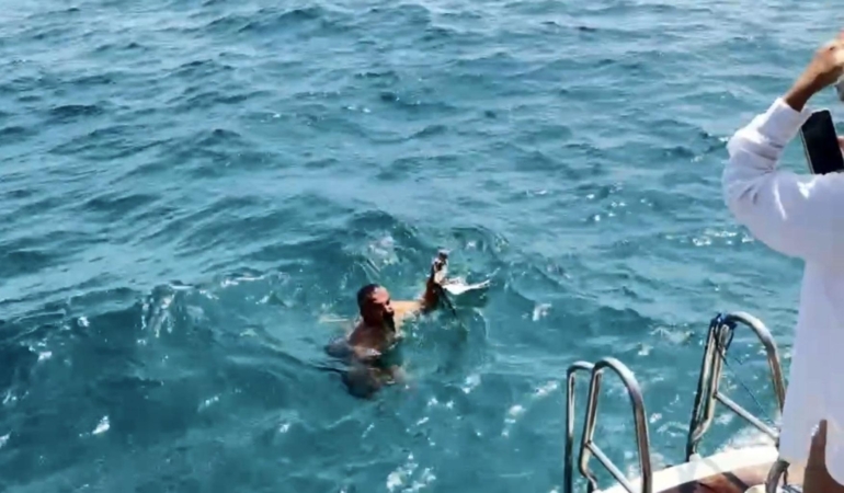 Yaralı martıyı tekne kaptanı kurtardı