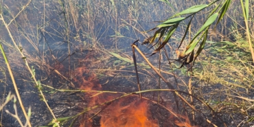 Eber Gölü’nde yangın