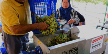 Pekmez Yapımı Artık Çok Kolay!