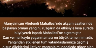 Alanya’da Orman Yangını, Ekipler Seferber Oldu!