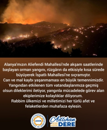 Alanya’da Orman Yangını, Ekipler Seferber Oldu!