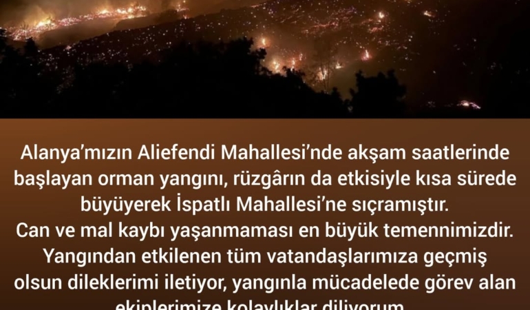 Alanya’da Orman Yangını, Ekipler Seferber Oldu!