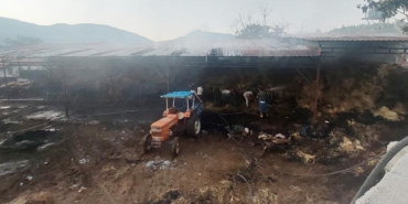 Yangında samanlar yandı, 4 büyükbaş öldü