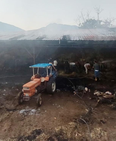 Yangında samanlar yandı, 4 büyükbaş öldü