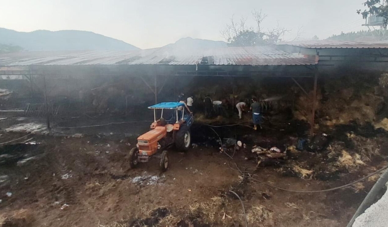 Yangında samanlar yandı, 4 büyükbaş öldü