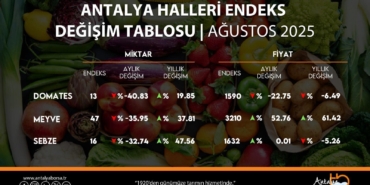 Ağustos hal endeksi açıklandı