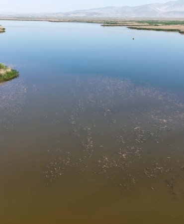 Eber Gölü’ne giriş ve çıkışlar, ikinci bir emre kadar yasaklandı