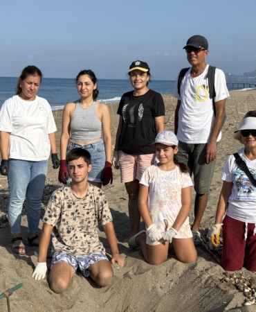 Gönüllüler, yavru kaplumbağaların denizle buluşmasına yardımcı oldu