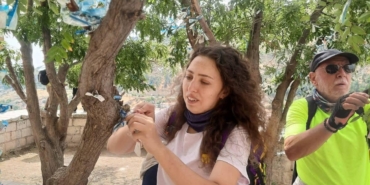 Ağaçlara bağlanan poşet ve bez parçalarını topladılar