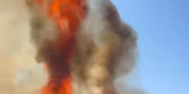 Çalılık yangını seralara zarar verdi