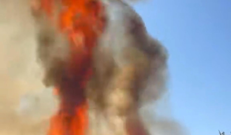 Çalılık yangını seralara zarar verdi