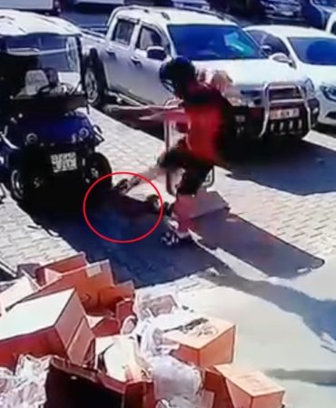 Kediyi tekmeledi tutuklandı