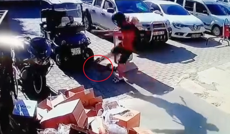 Kediyi tekmeledi tutuklandı